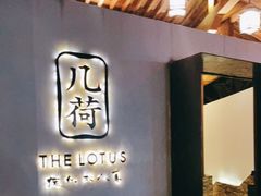 -几荷·恰似故人来(秀水广场店)
