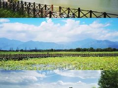 -野鸭湖国家湿地公园