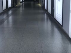 -大望路(地铁站)