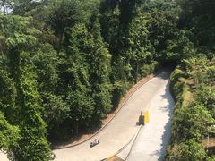 -圣淘沙天际线斜坡滑车