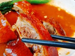 黄金脆皮烧鸭饭-百事佳烧鸭牛腩(上海虹桥站店)