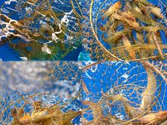 -SHRIMP CLUB万东餐饮钓虾·清吧