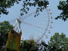 -石家庄市植物园