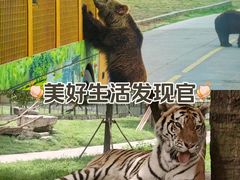 -上海野生动物园