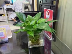 -张钰强中医正骨推拿连锁(华发商都店)