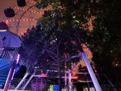 -西安市长乐公园