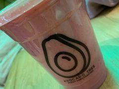 -油梨树AVOCADO TREE(望京店)