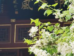 -湛山寺