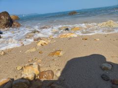 -杨梅坑