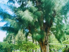 -惠州金海湾嘉华度假酒店