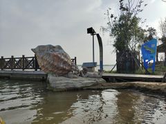 -金沙湖旅游度假区