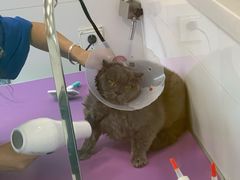 -宠颐生动物医院·心脏科·保险定点(锦阳分院)