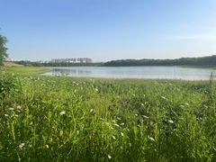 -盘龙城国家考古遗址公园