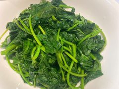 时蔬-院里寻菜·精致庭院菜(观沙岭店)