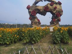 -亚龙湾国际玫瑰谷