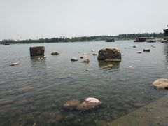 景点-河北省第三届（邢台园博园）园林博览会