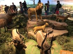 -陕西自然博物馆