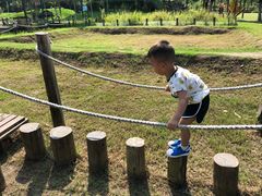 -田园东方蜜桃村的田野营地