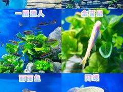 -石家庄极地海洋世界