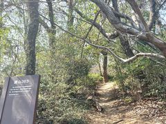 -虞山城墙