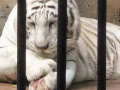 -广东茂名森林公园