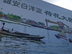 -白洋淀景区