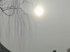 -文瀛公园