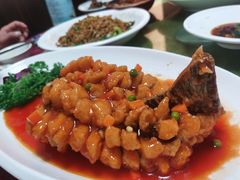 松子划水-旭龙鱼头王(航华店)