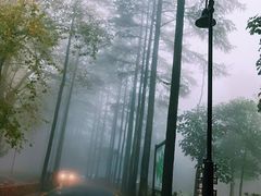 -莫干山风景区