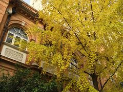 -复旦大学附属华山医院(总院)