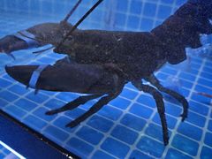 -海底捞火锅(威高广场店)