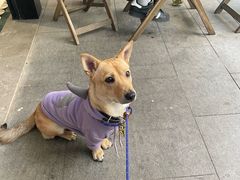 -一尺花园(安和花园店)