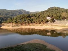 -东莞市大岭山森林公园