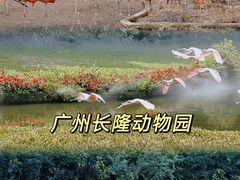 -广州长隆野生动物世界