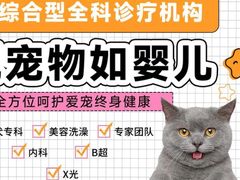 -全心全意连锁动物医院·微创中心·内科急重症·心脏专科(丰管路店)