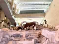 -国家自然博物馆