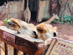 -长鹿旅游休博园