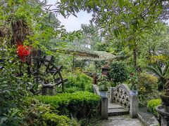 -青城甲(青城山店)