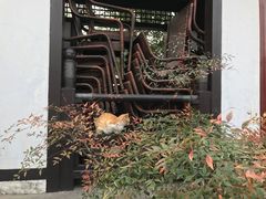 -常熟方塔园