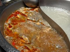 -焱三乐四川火锅店(经纬街店)