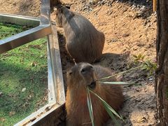 -南戴河国际娱乐中心