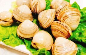 Authentic Dandong Yellow Clams