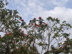 -白石龙音乐公园