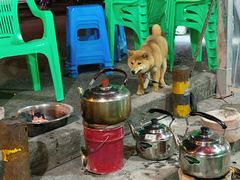 -小板凳(四公里店)