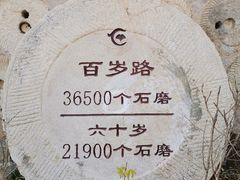 -千年银杏谷文化旅游区