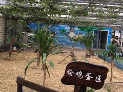 -万源龙顺度假庄园生态观光园