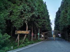 -武陵山森林公园