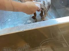 -PETKIT小佩宠物·低压洗护(国顺东路店)