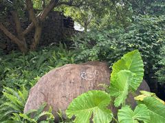 -原乡芦茨咖啡
