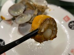 扇贝-华圆美食